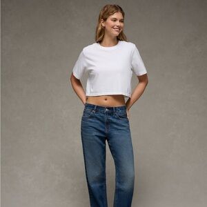 American Eagle Strigid Low-Rise Baggy Straight Jean